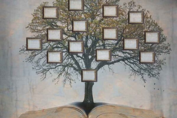 How Genealogy Books Differ From Family Trees