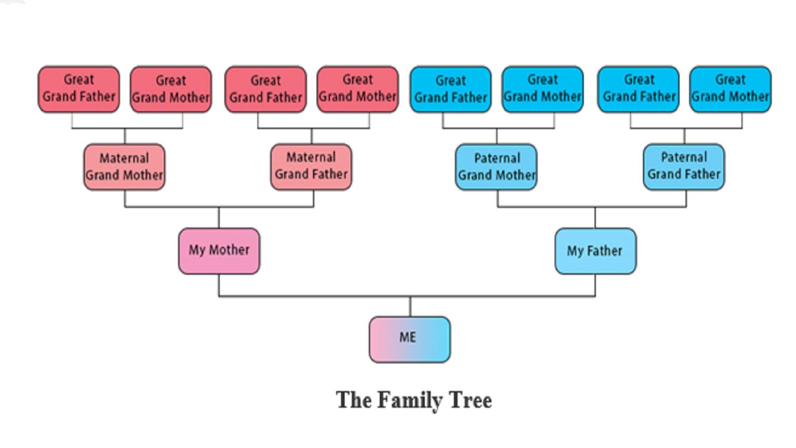 How Family Lineage Affects Your Heritage Research