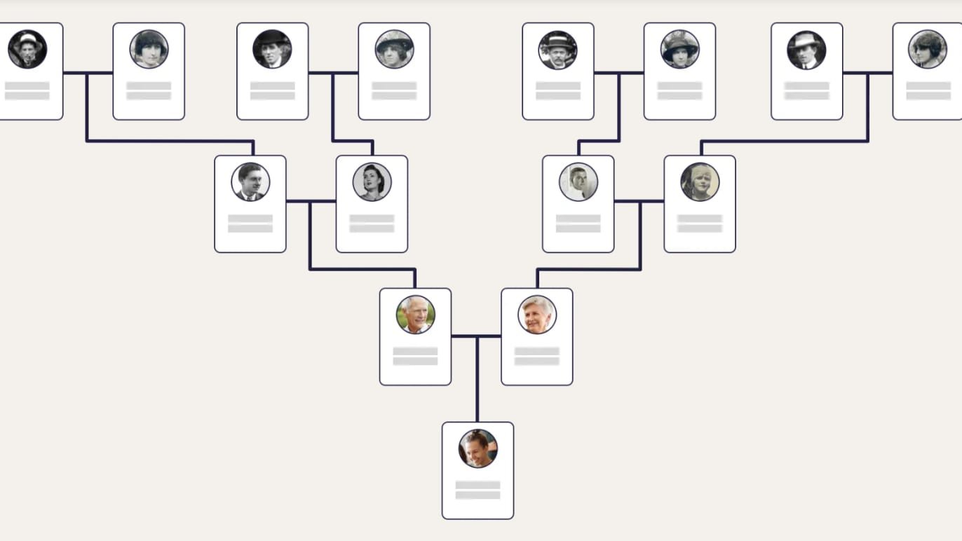 How To Build A Family Tree From Your Lineage