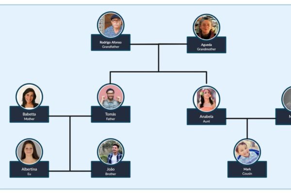 How To Create Your Family Tree Online