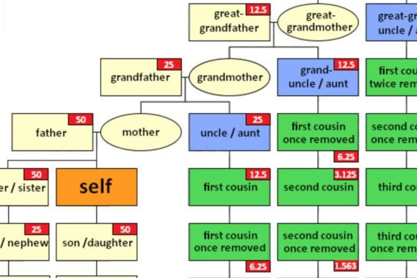 How To Discover Family Lineage With DNA Testing.