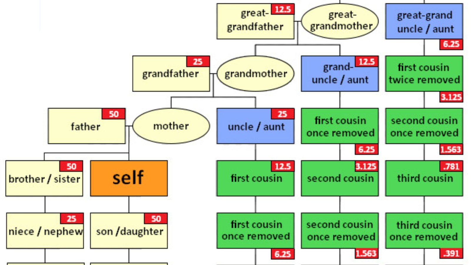 How To Discover Family Lineage With DNA Testing.