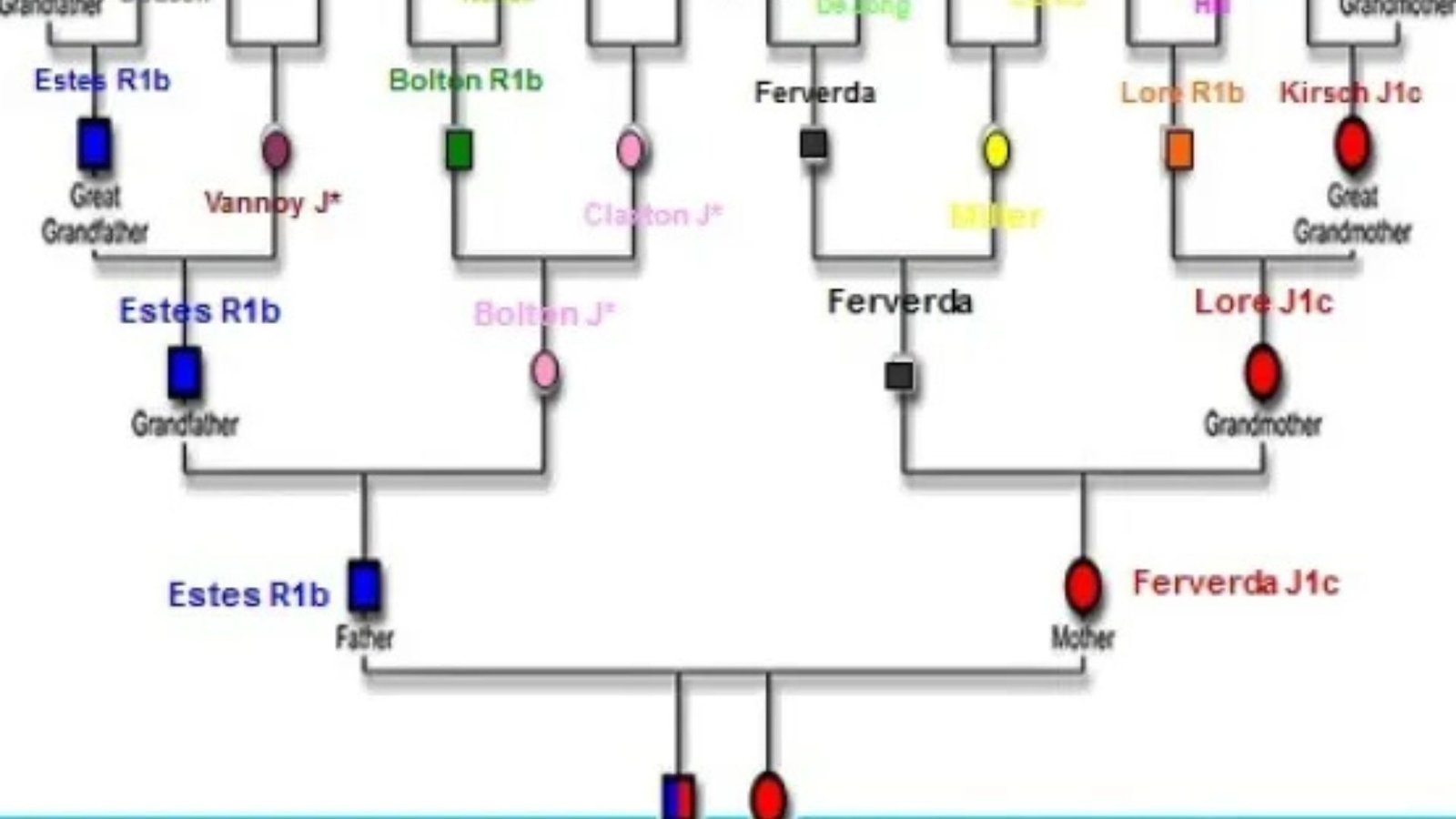 How To Discover Family Lineage With DNA Testing