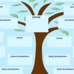 How To Read Family Tree Charts Correctly