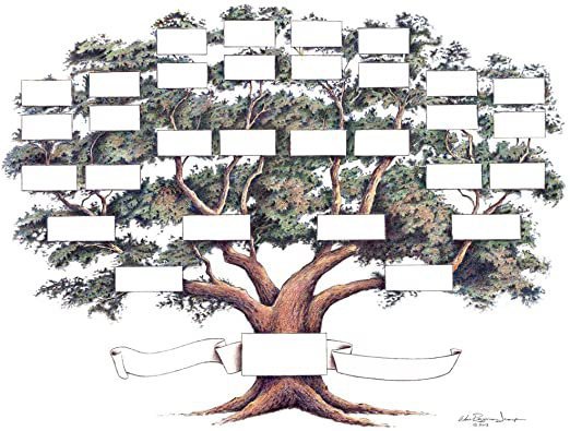 How to Build a Family Tree with Limited Information