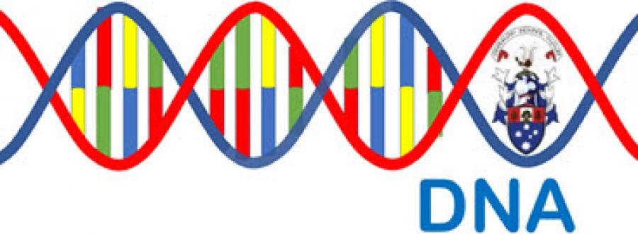 How to Connect DNA Testing with Family Lineage