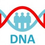 How to Connect DNA Testing with Family Lineage
