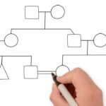 How to Trace Family Names Across Generations