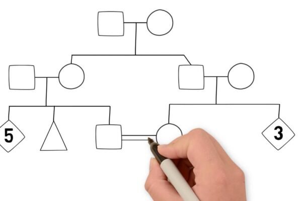 How to Trace Family Names Across Generations