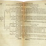 How to Understand Complex Genealogical Entries