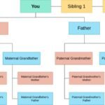 How to Verify the Authenticity of Family Lineage Claims