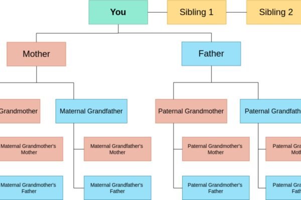 How to Verify the Authenticity of Family Lineage Claims