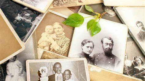 Family Names in Genealogy Research