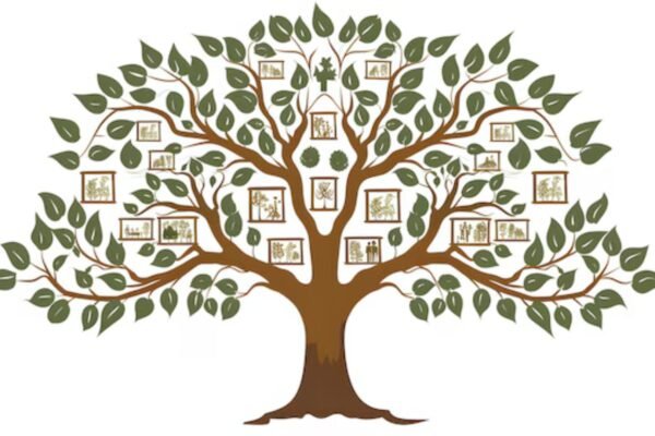 Popular Family Tree Design Ideas