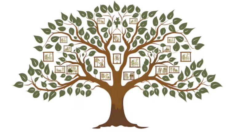 Popular Family Tree Design Ideas