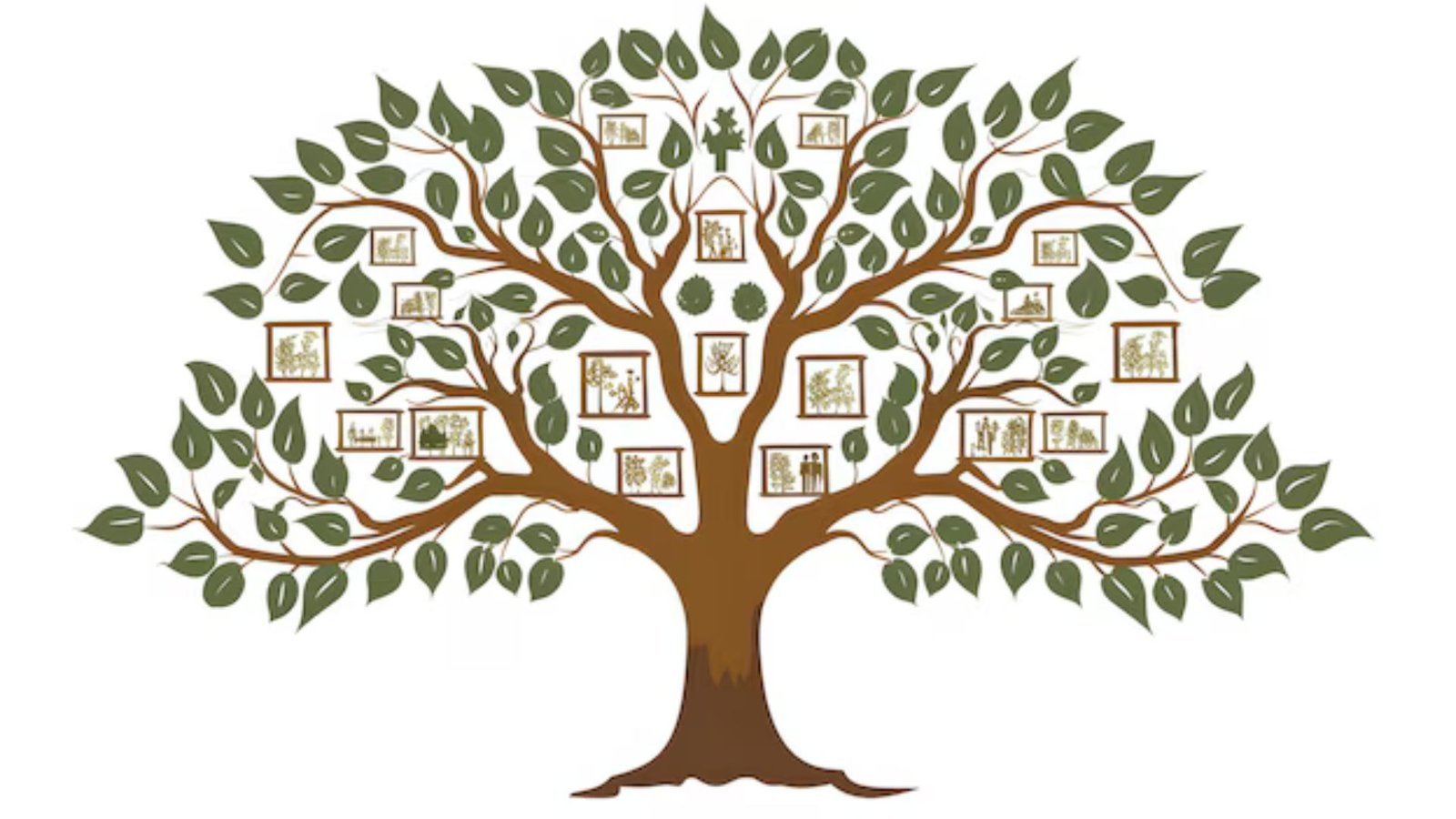 Popular Family Tree Design Ideas