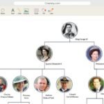 Top Tools and Software for Creating Family Trees