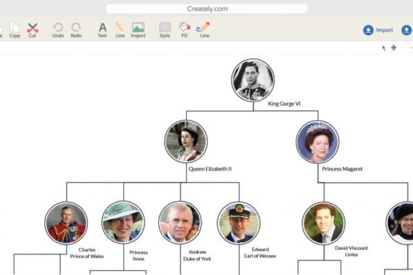 Top Tools and Software for Creating Family Trees