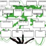 Create a Family Tree for School or Personal Projects