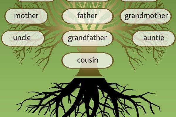 How to Begin Researching Your Family Lineage