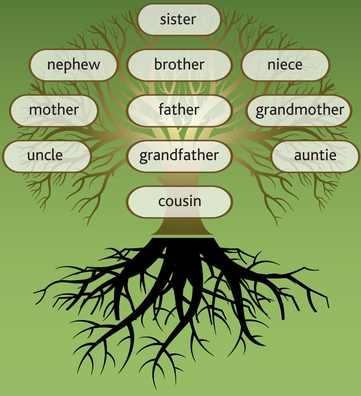 How to Begin Researching Your Family Lineage