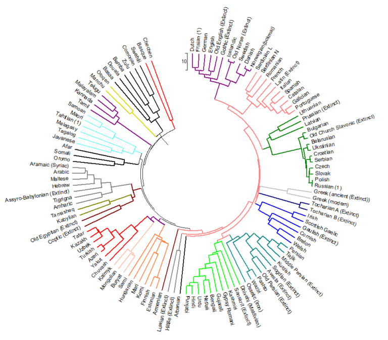 The Evolution of Genealogical Dictionaries Through History