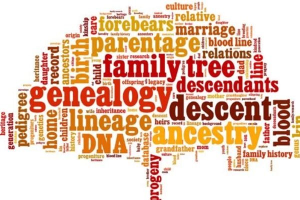 Understanding The Role Of Family Lineage In Culture