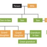 Why Family Trees Are Essential For Ancestry