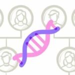 DNA Testing in Modern Family Tree Research